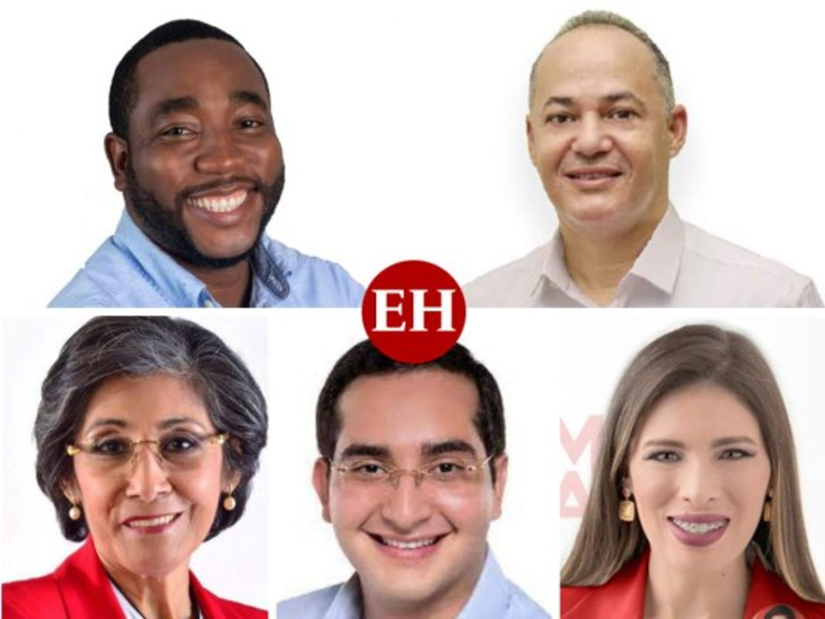 Congreso Nacional: Hombres y mujeres elegidos por el Litoral Atlántico como diputados