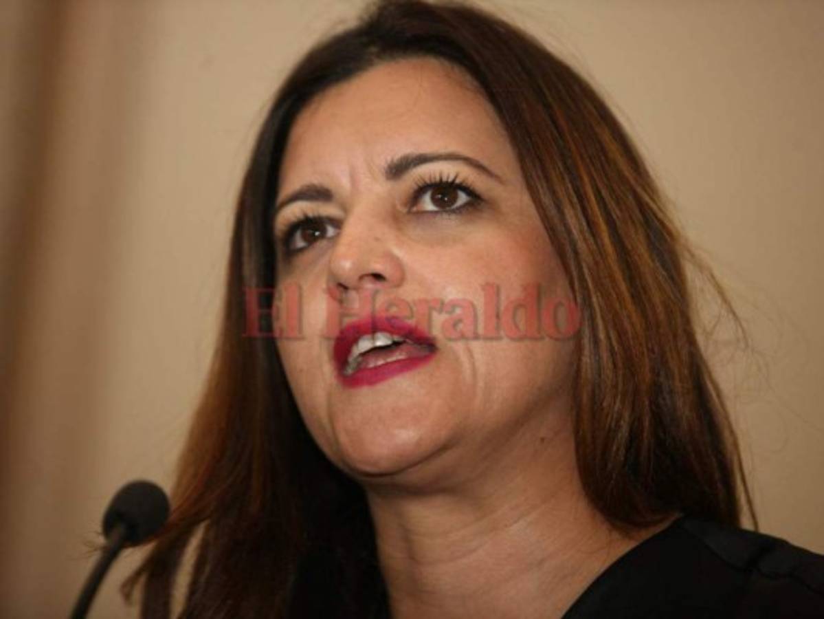 Misión de Observación Electoral de la Unión Europea (MOE-EU) en Honduras presentará informe final sobre elecciones