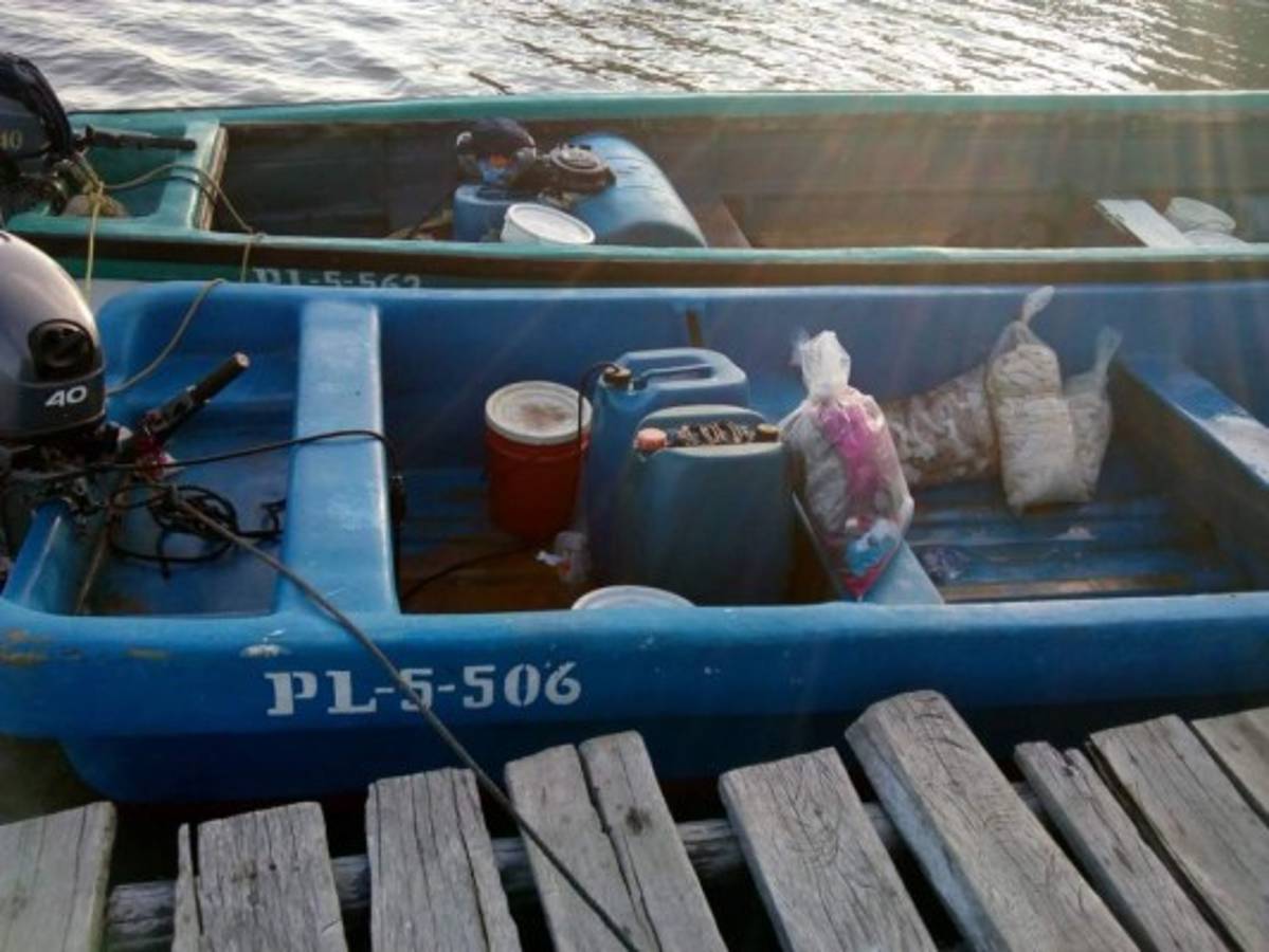 Parte del producto decomisado a los nueve pescadores detenidos por la Fuerza Naval.