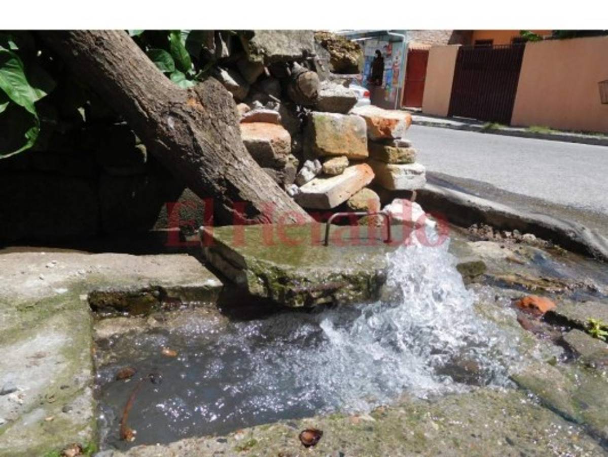Hurtan más de 20 contadores de agua en Lomas del Cortijo de la capital de Honduras