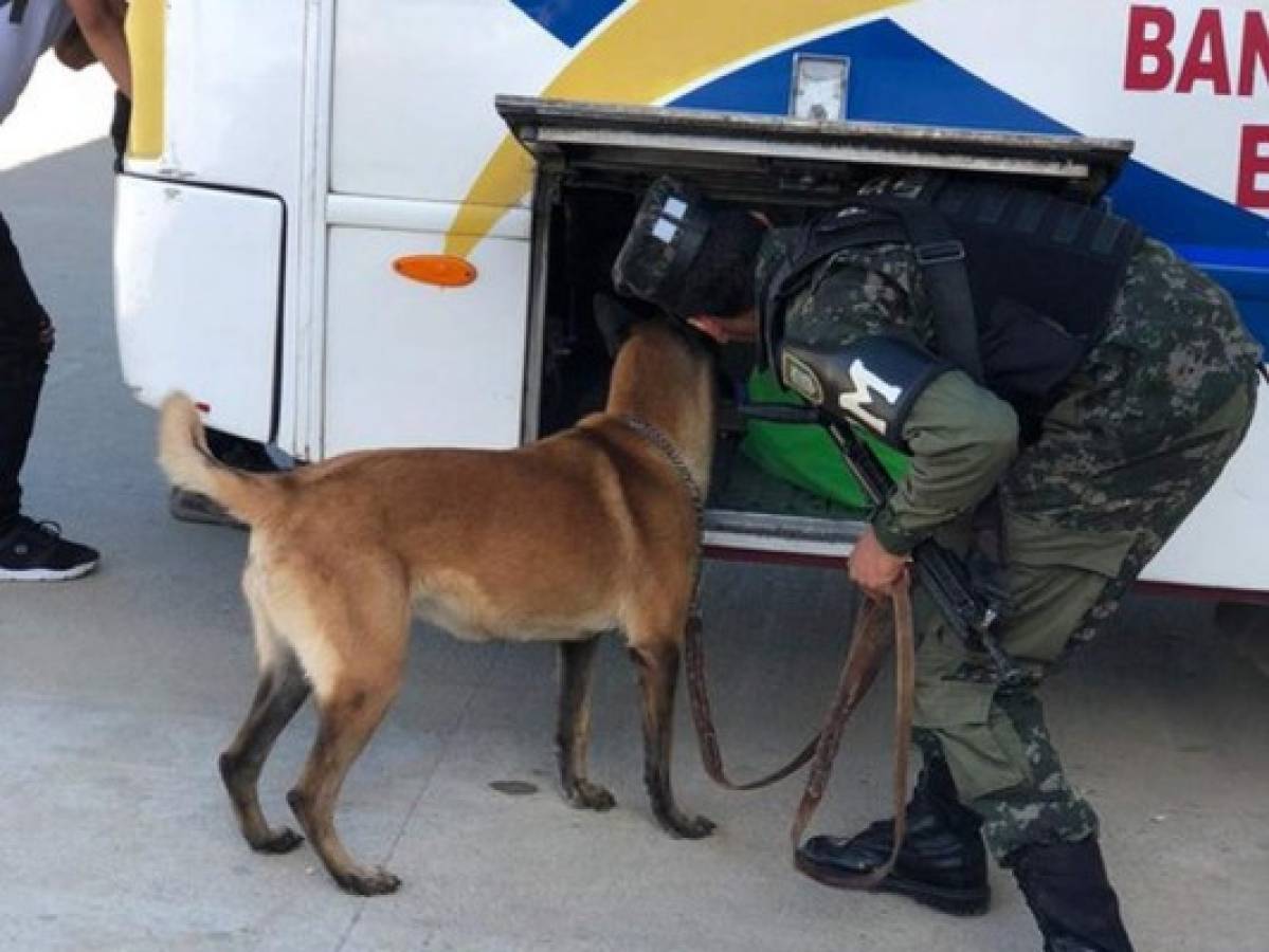 Ejecutan 'Operación Odiseo X' para desarticular red de lavado de activos