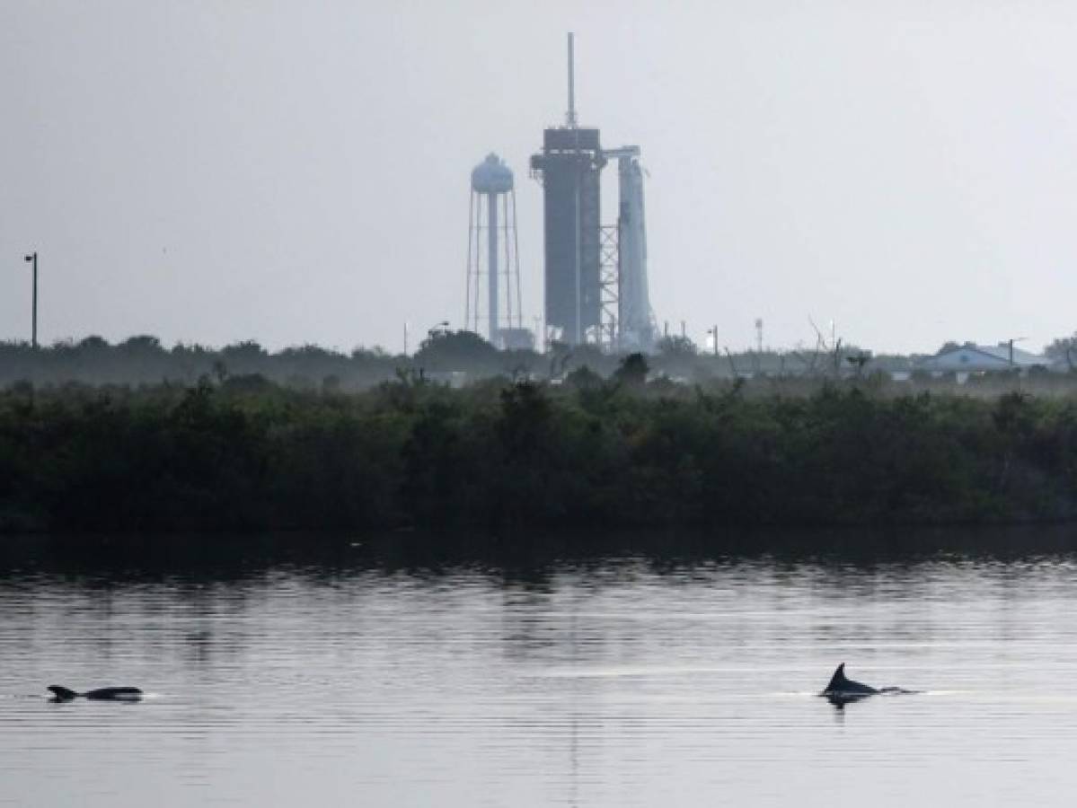 Misión de SpaceX y NASA: ¿A qué hora será el lanzamiento de la Crew Dragon?