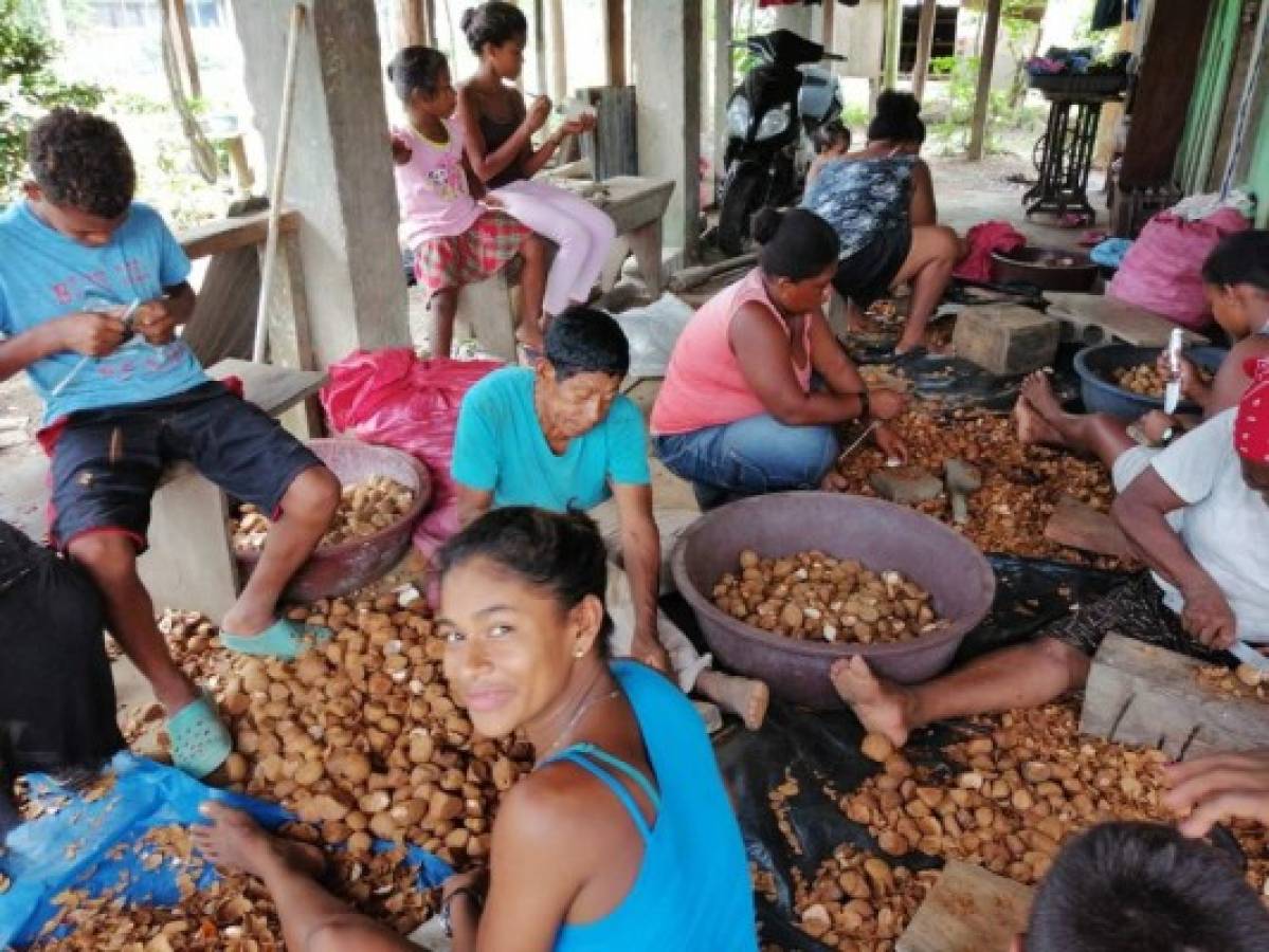 La Unión Europea lanza el proyecto PIAH para dinamizar las economías locales de mujeres y jóvenes indígenas y afrodescendientes