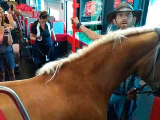 Joven jinete sube a un tren en Austria junto a su caballo