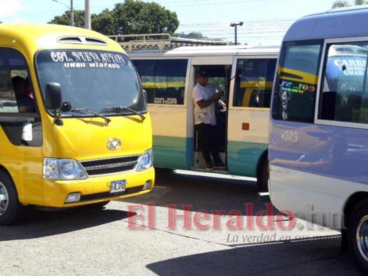 Sector transporte con pérdidas arriba de los L 50 millones por pandemia