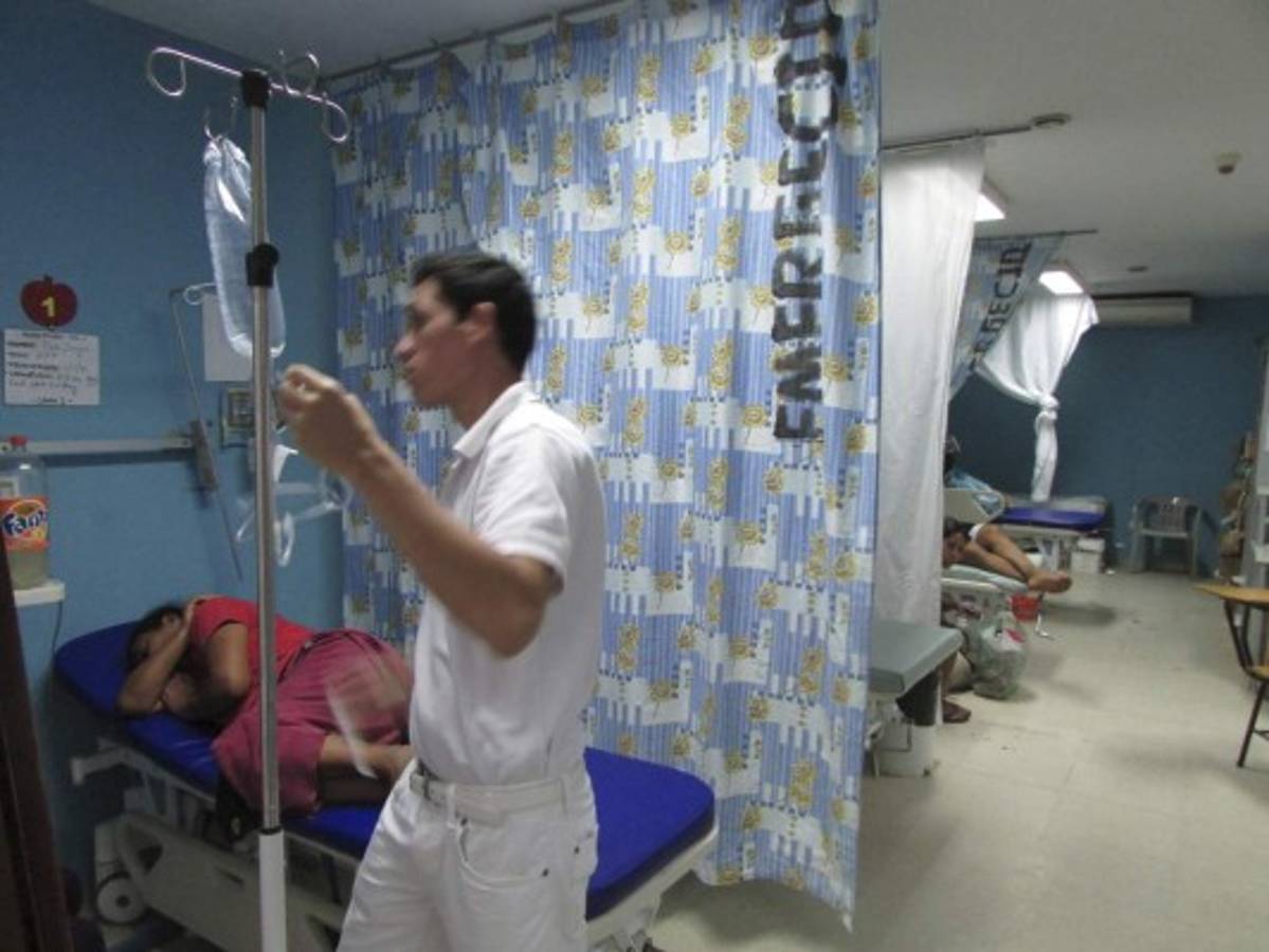 Honduras: Vienen multas para quienes mantengan criaderos