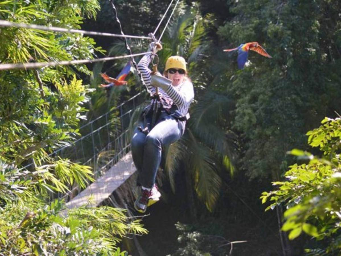Aventura para explorar la vida silvestre en Roatán