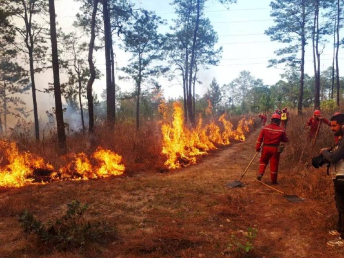 Cuatro incendios al día sofocan en el Distrito Central