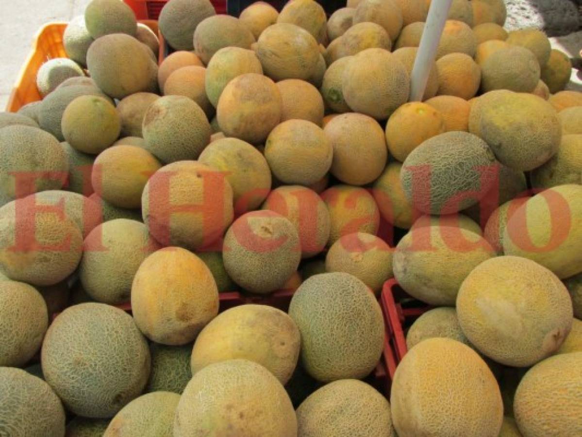 Melón puede generar más de $70 millones en la cosecha 2017/18