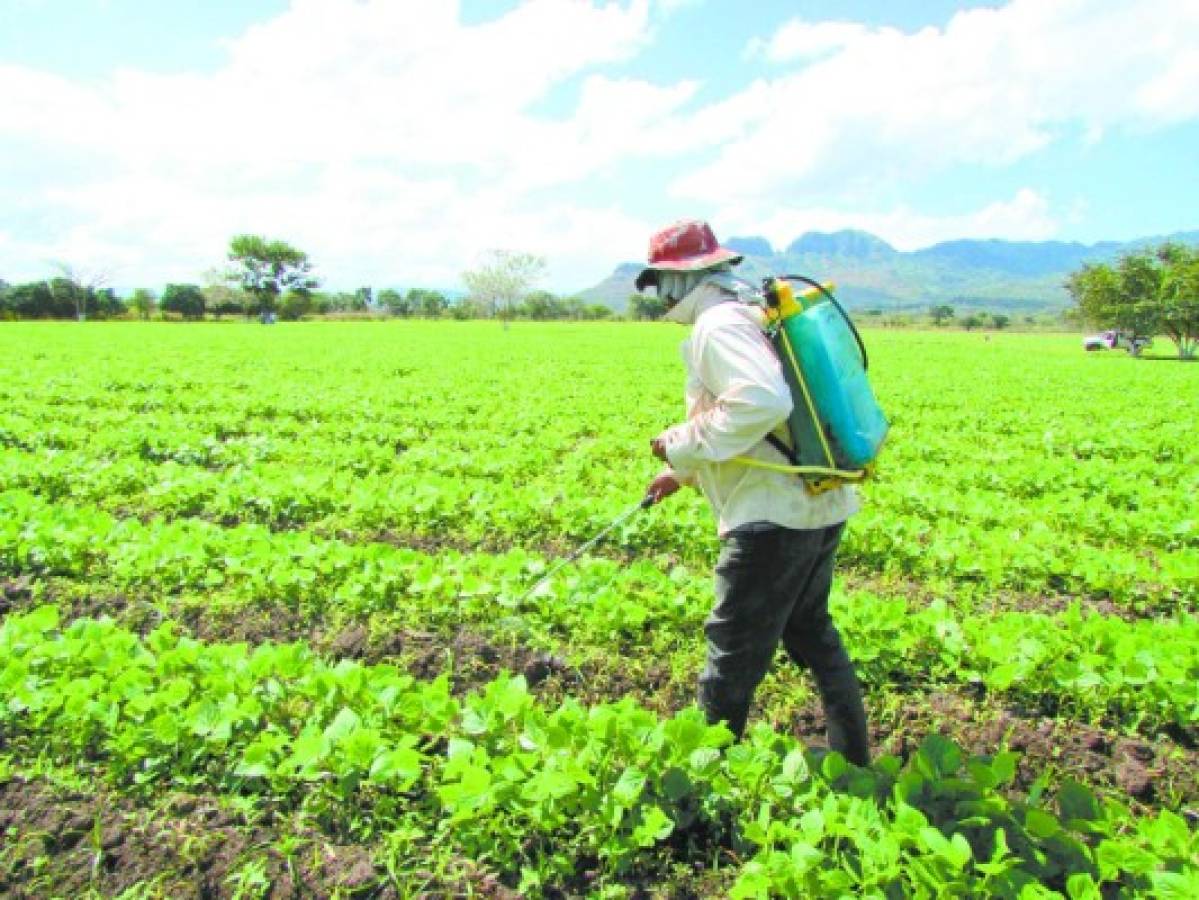 Se unen 11,000 asociaciones del agro a exoneración de 15%