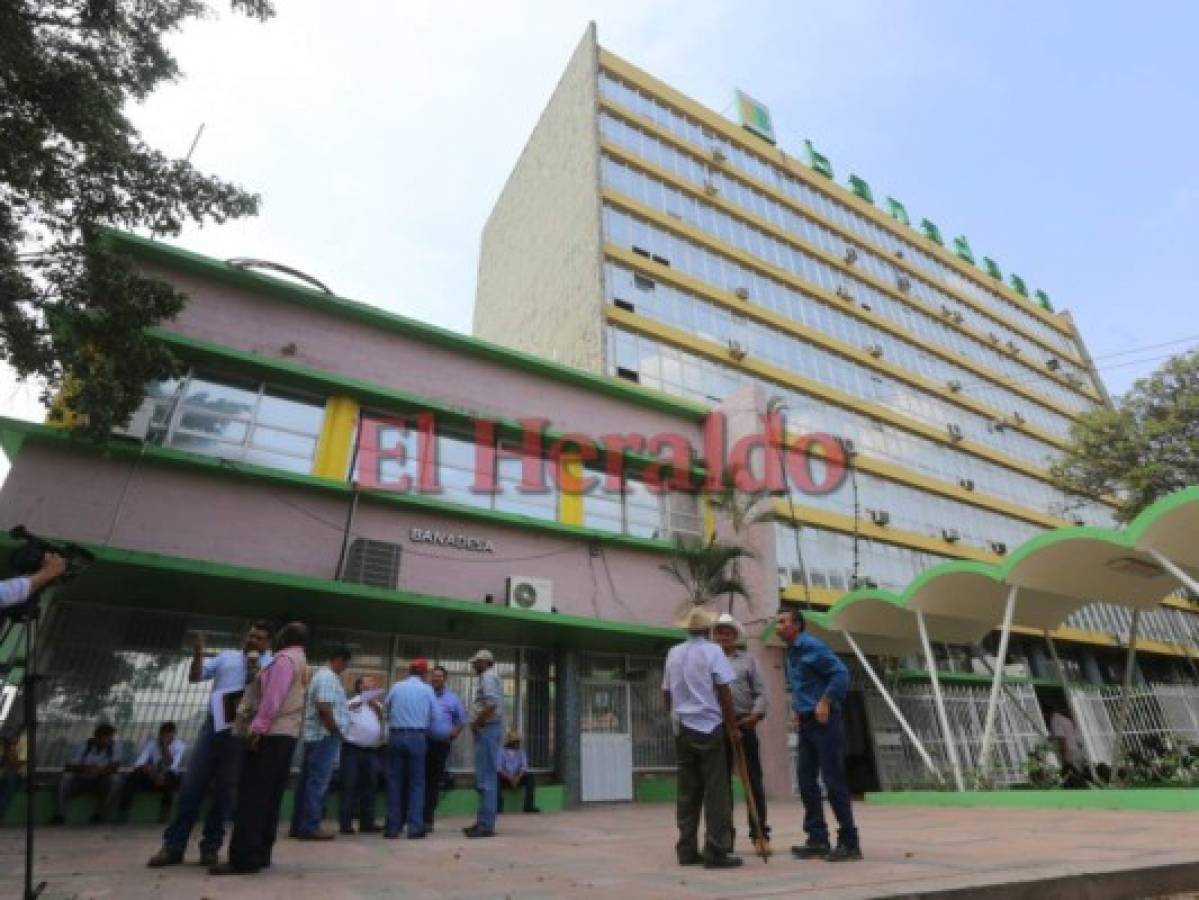 Productores hondureños exigen créditos de fideicomisos del Banco Nacional de Desarrollo Agrícola (Banadesa)