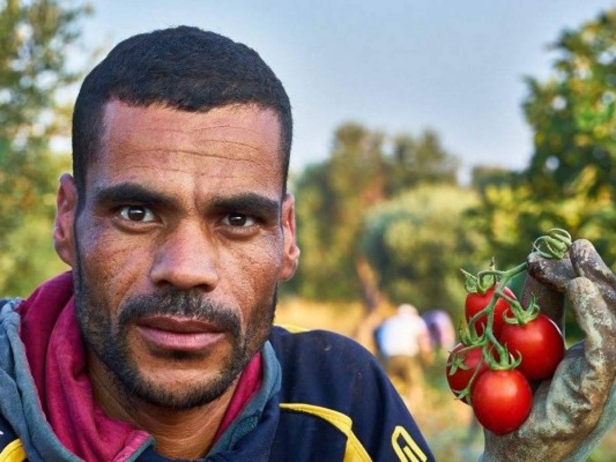 Un frasco de tomate lleno de libertad