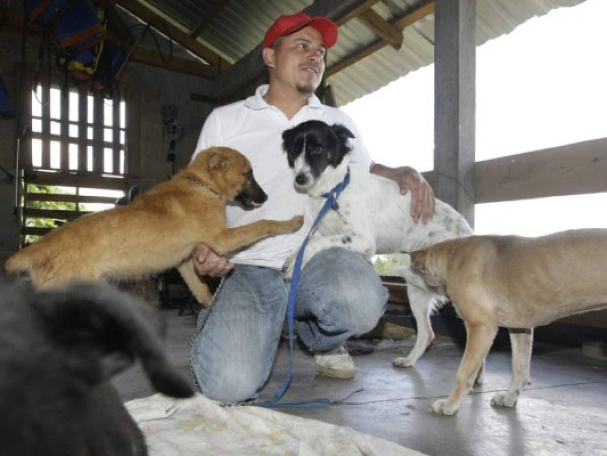 Amilcar Rivera, el aliado incondicional de 19 canes que él mismo ha recogido de las calles