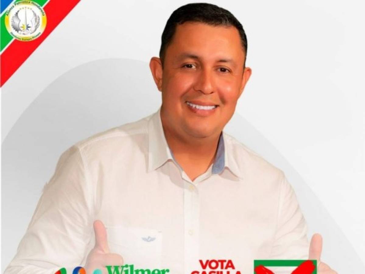 Ellos son los 23 candidatos a diputados por el Partido Alianza Patriótica Hondureña