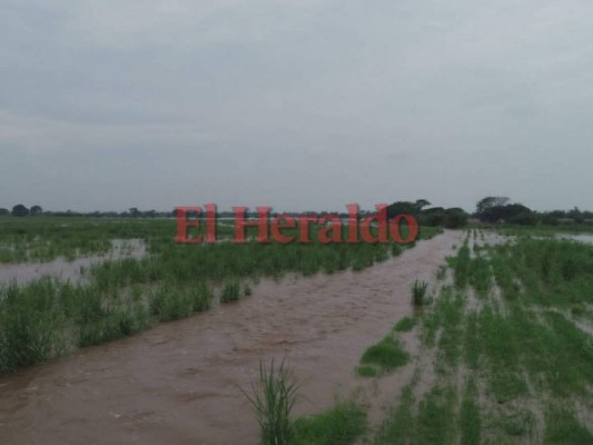 Presidente Hernández pide a los hondureños estar alertas ante crecida de ríos