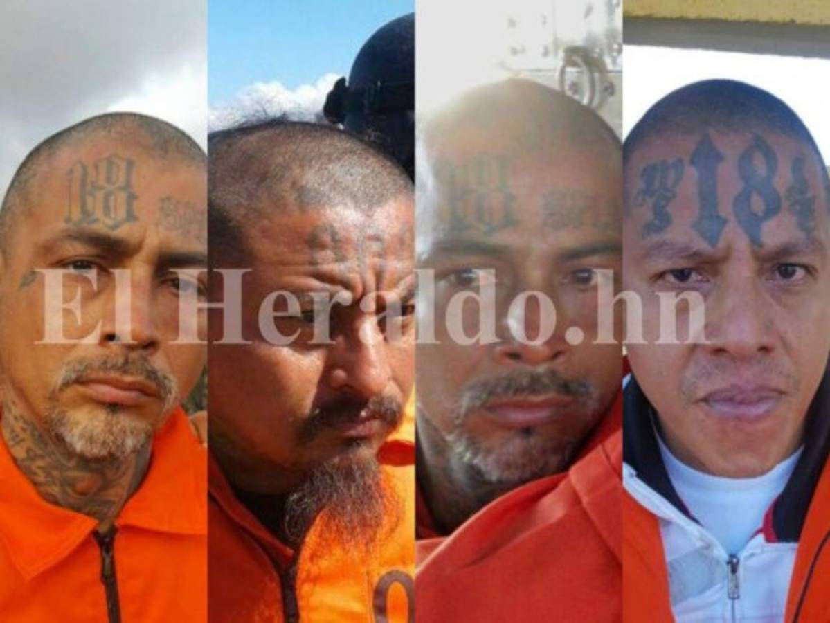 Un total de 15 reos de alta peligrosidad fueron trasladados a la cárcel de máxima de El Pozo, en Ilama, Santa Bárbara, oriente de Honduras.