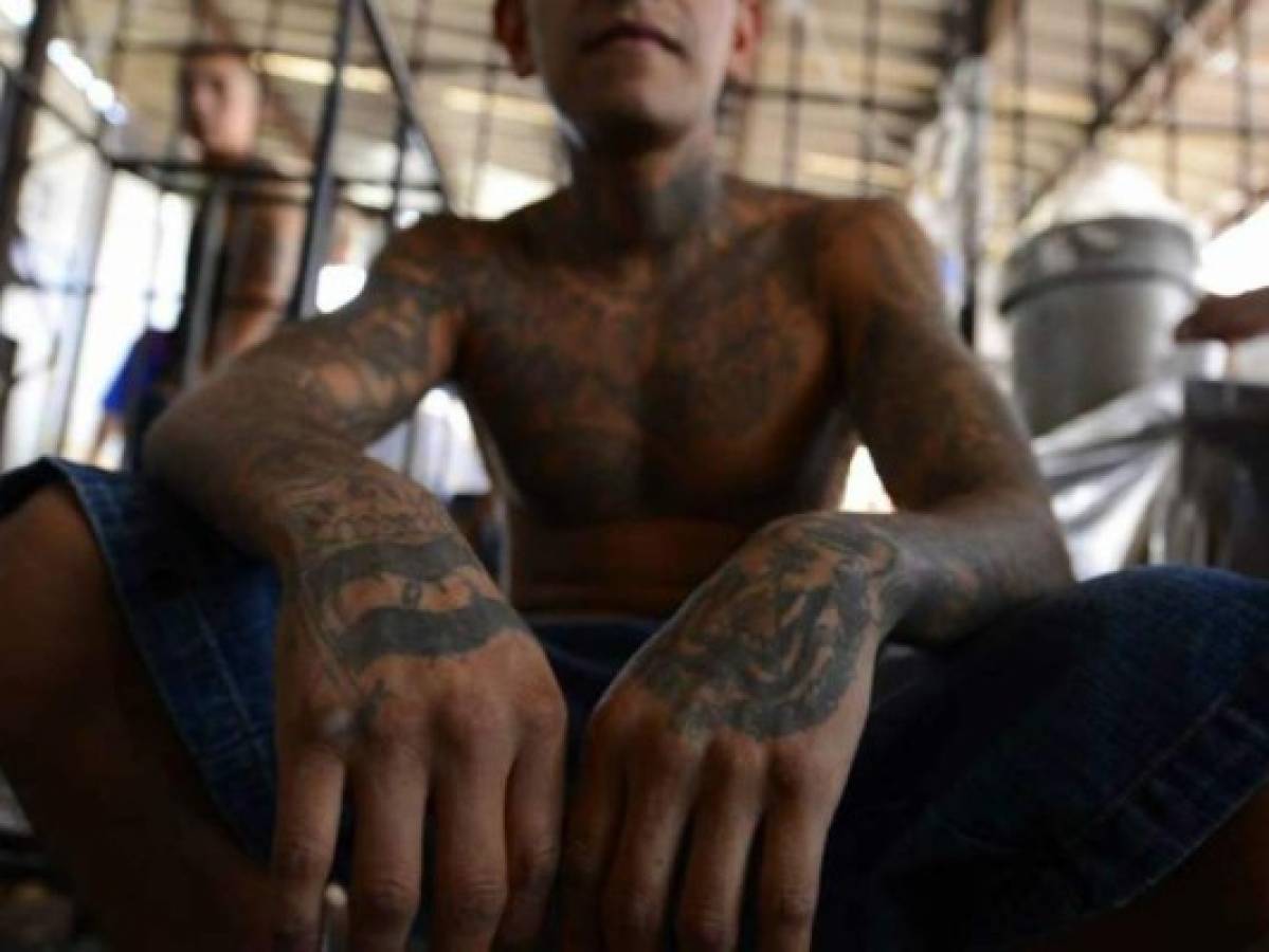 Culpar a inmigrantes de la pandilla MS-13, un error de Trump según expertos