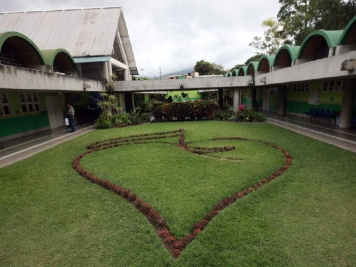 Todo está listo para mostrar el ADN de la solidaridad en Teletón Honduras 2018