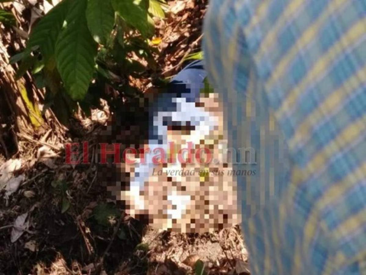 Por pelea de tierras fue matanza de seis personas en Río Blanco, Olancho