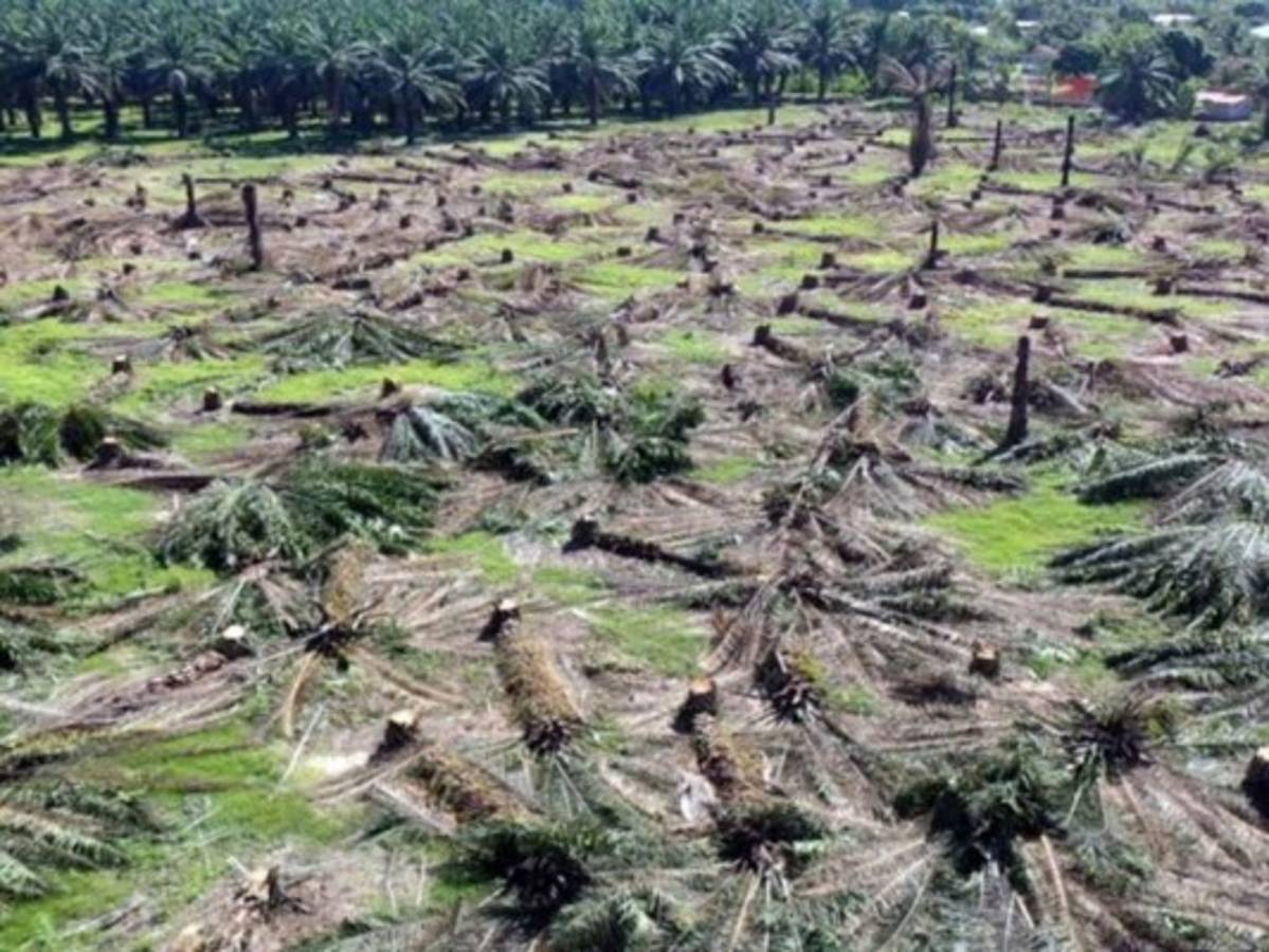 Comunicado Público de Dinant: 'Estas reformas facilitarán la protección de la empresa privada”