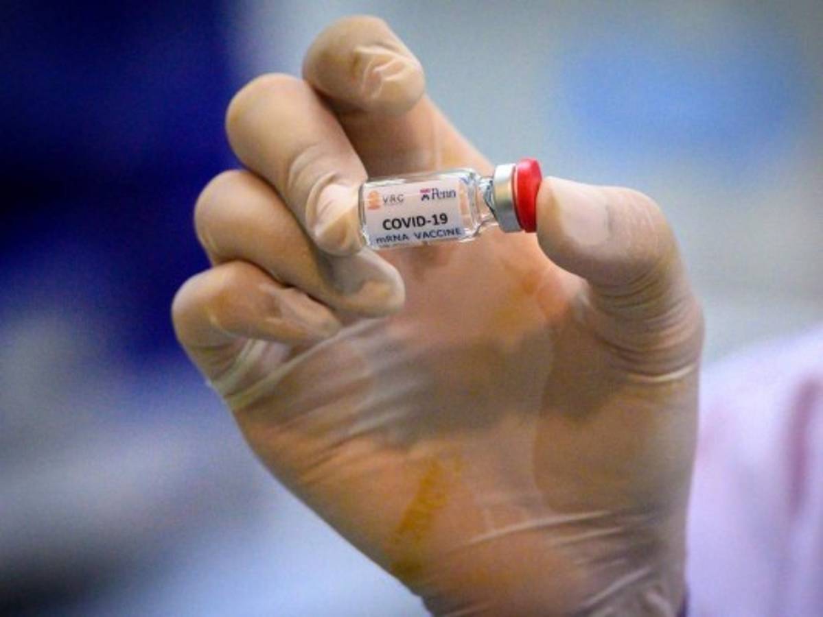 Vacuna contra covid-19 probada en monos dio resultados alentadores