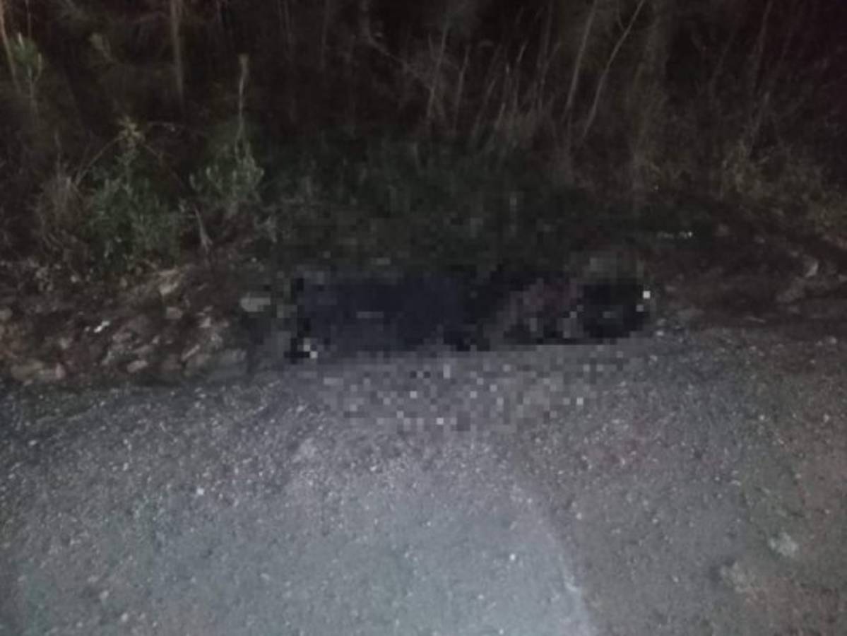 Un policía muerto y un herido deja tiroteo en Zambrano  