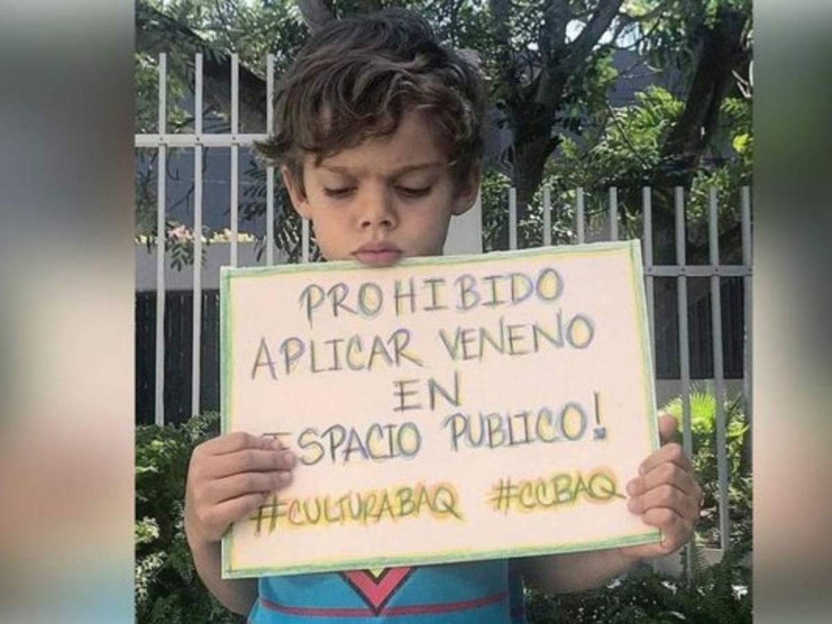 Niño conmueve las redes sociales con mensaje tras el envenenamiento de su perro