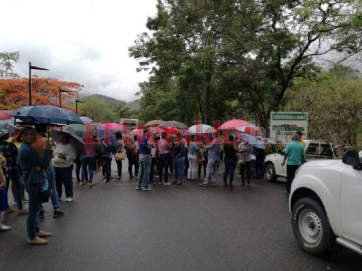 Las protestas que protagonizaron médicos y docentes a nivel nacional