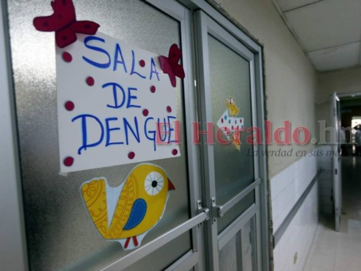 Honduras: El Aedes aegypti ya ha matado a nueve personas en Cortés