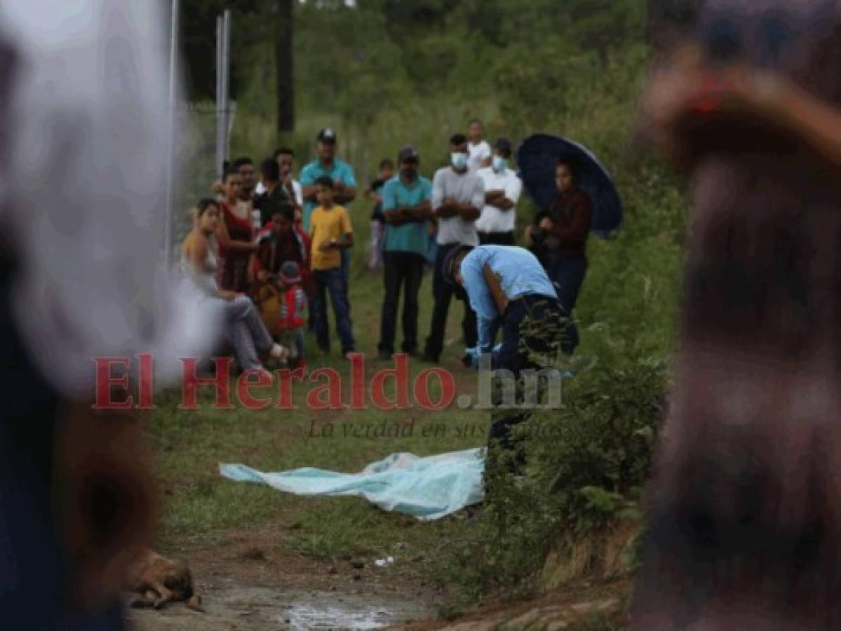 Perros rottweiler matan a un hombre y su mascota en San Matías, Francisco Morazán