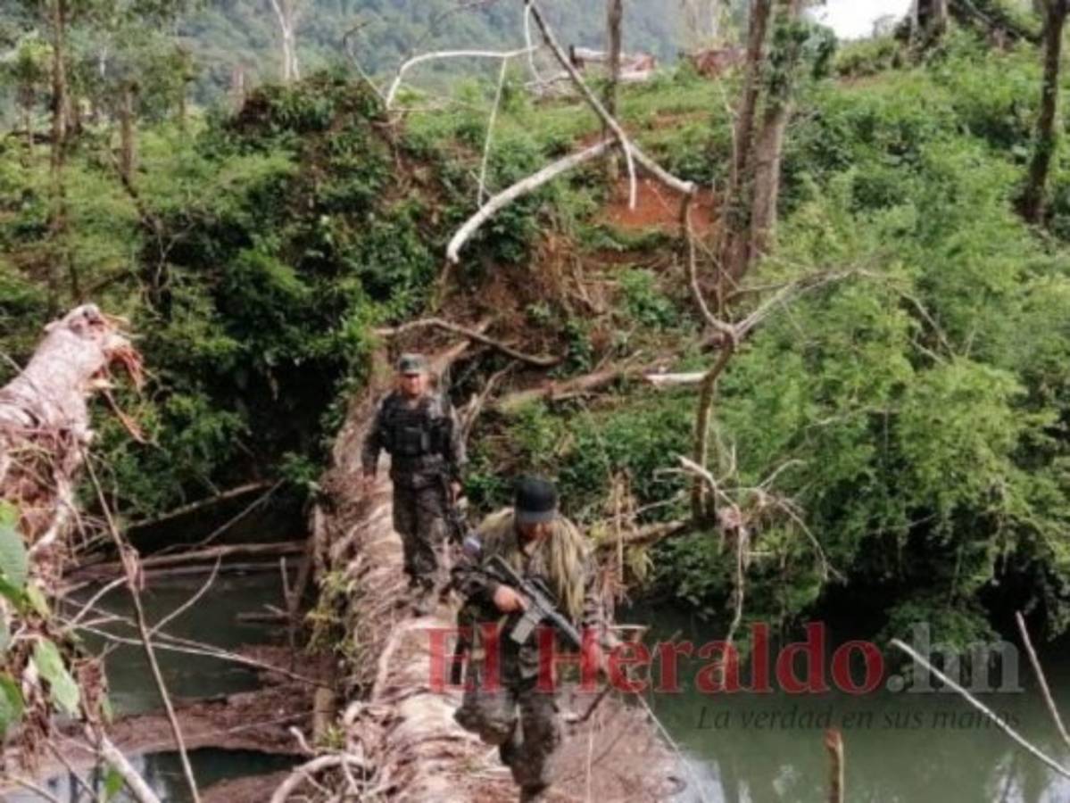 La carretera construida por personas misteriosas pone en riesgo las zonas arqueológicas de La Mosquitia. Foto: El Heraldo
