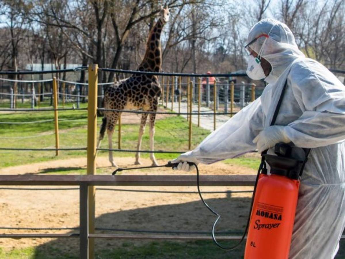 Londres refuerza su lucha contra el coronavirus tras alarmante advertencia científica