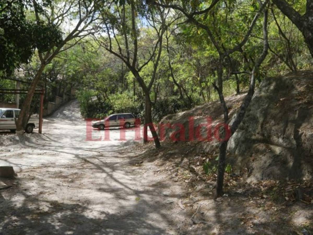 Los vecinos solicitan la pavimentación con concreto hidráulico de varias calles del sector.