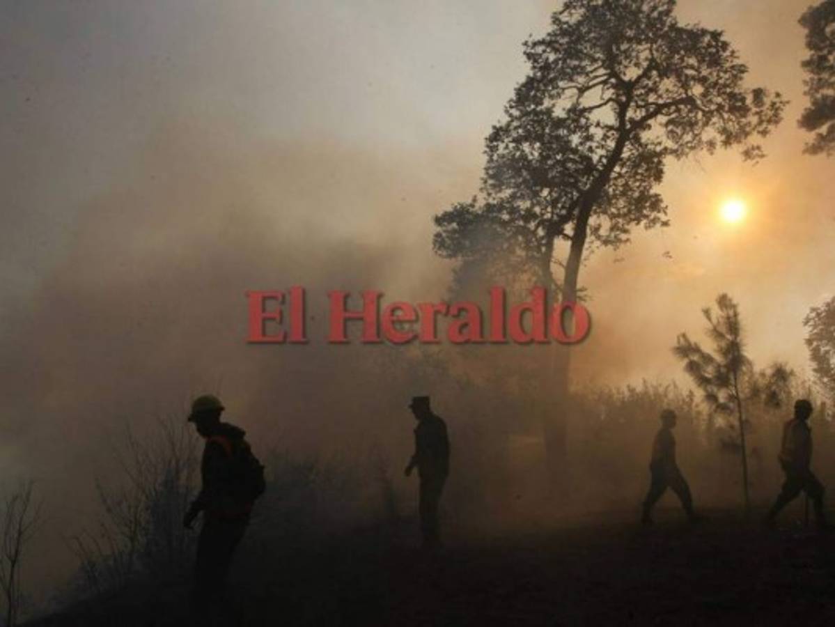 Voraz incendio de zacatera amenaza a varias viviendas en El Hatillo, en la capital de Honduras