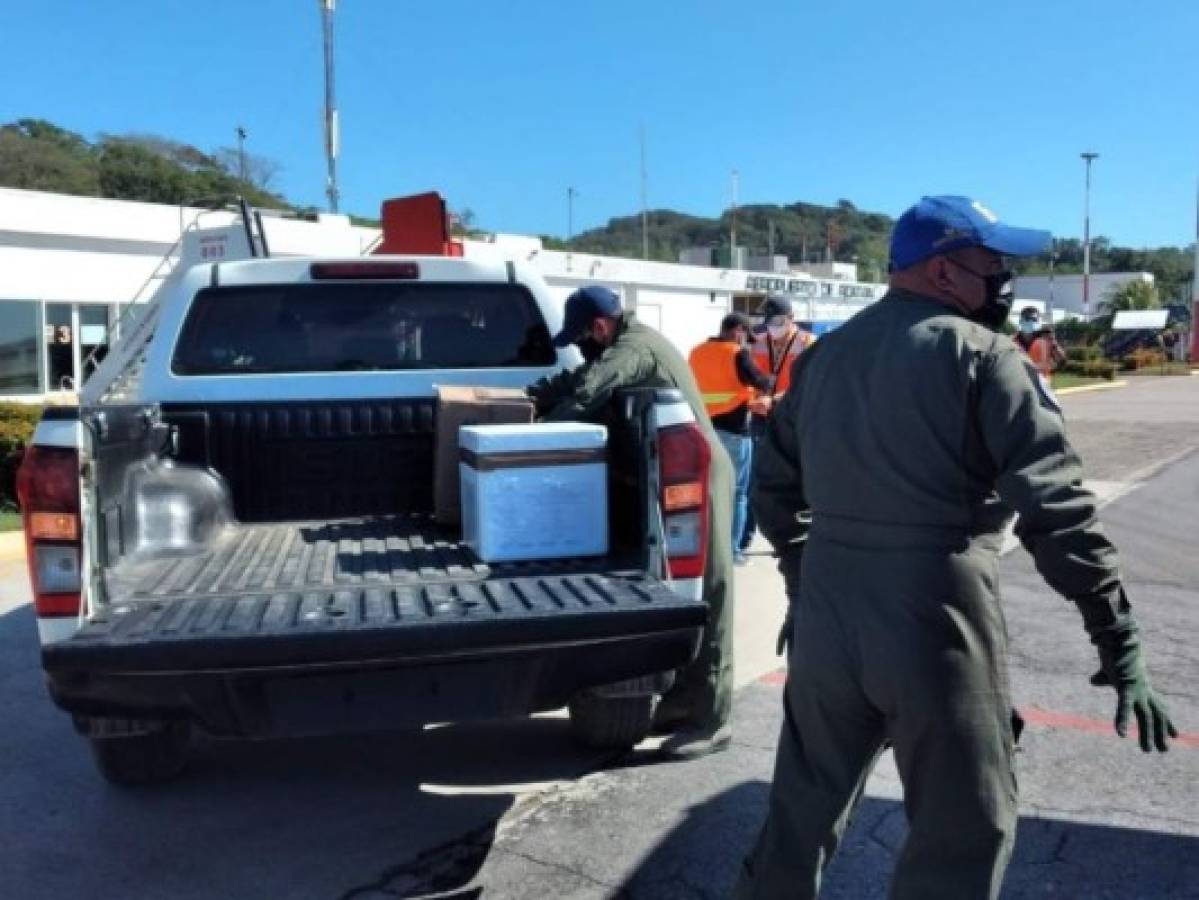 En avión llegan vacunas contra covid-19 a Islas de la Bahía y Gracias a Dios