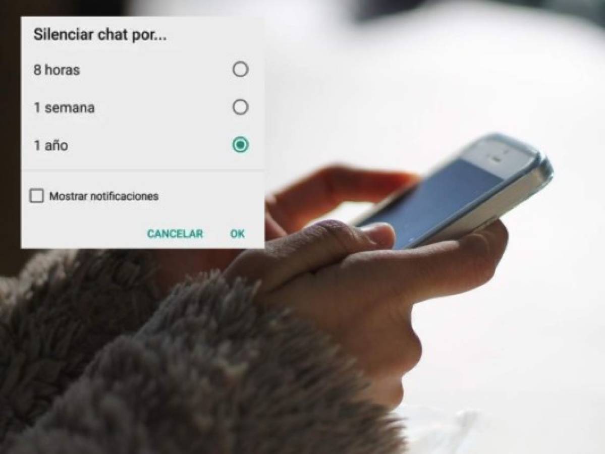 WhatsApp analiza la opción de silenciar conversaciones para siempre