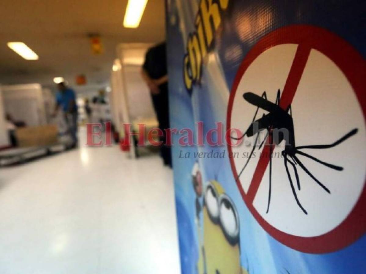 En línea de alerta el Distrito Central por casos de dengue