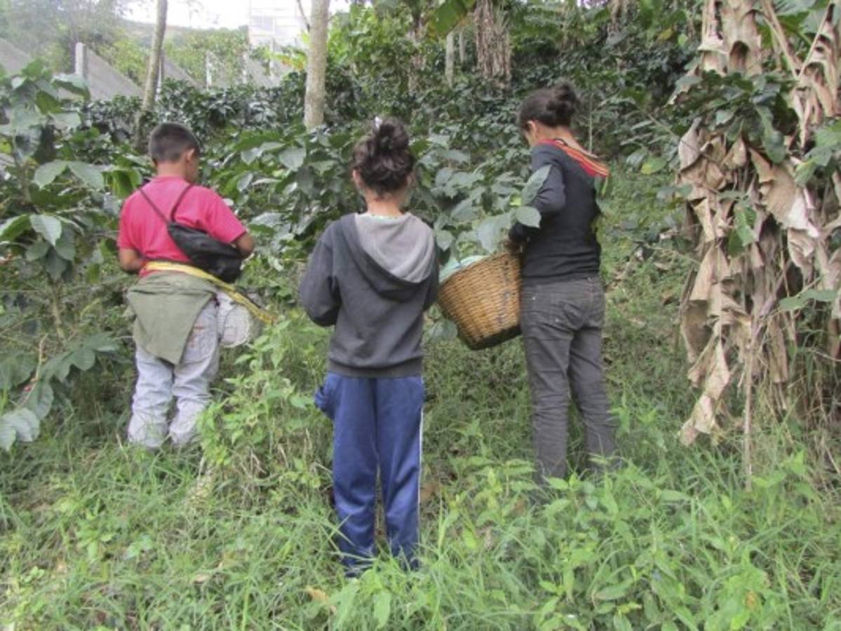 Honduras: Sin alumnos escuelas del área rural de El Paraíso