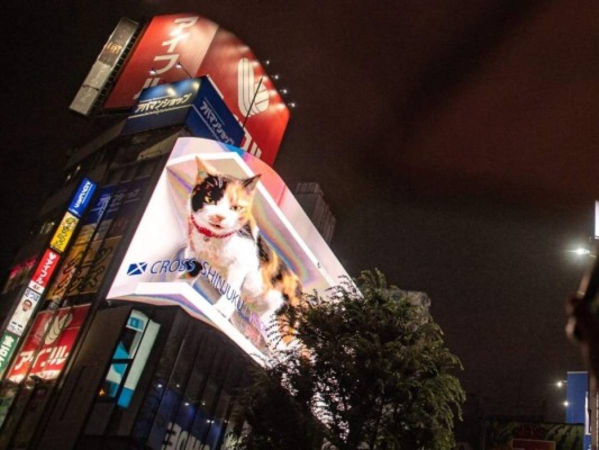 ¡Surreal! Gato en 3D mantiene embelesados a los habitantes de Tokio  