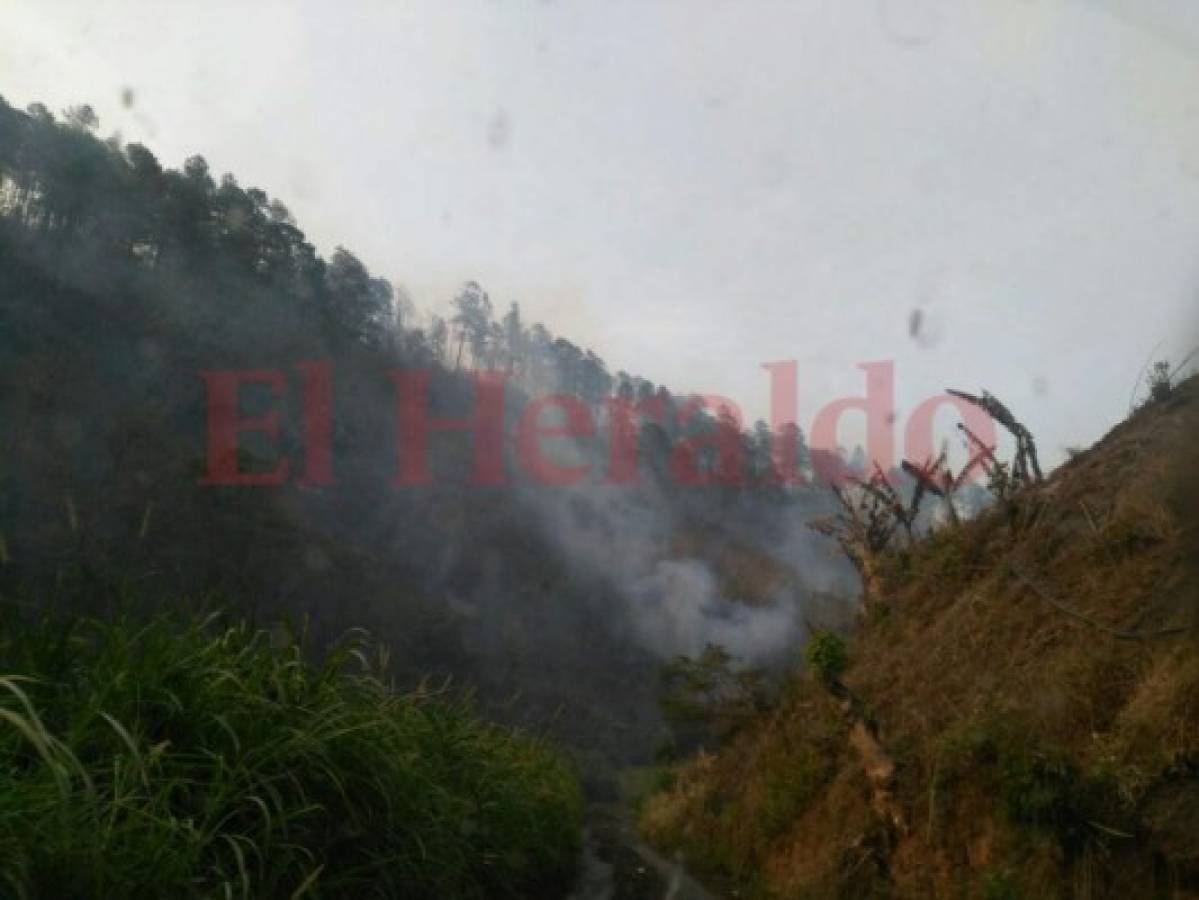 Mueren dos bomberos y tres más resultan heridos mientras combatían incendio forestal en La Montañita