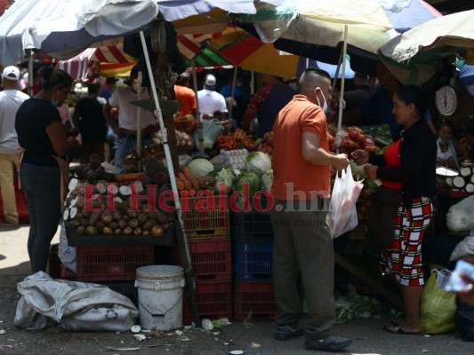 Honduras en etapa exponencial del covid-19 debe redoblar medidas para revertir picos