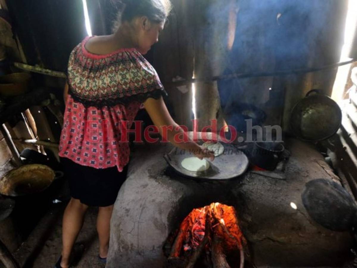 Alrededor de 1.4 millones necesitan de asistencia alimentaria en el Corredor Seco de Centroamérica