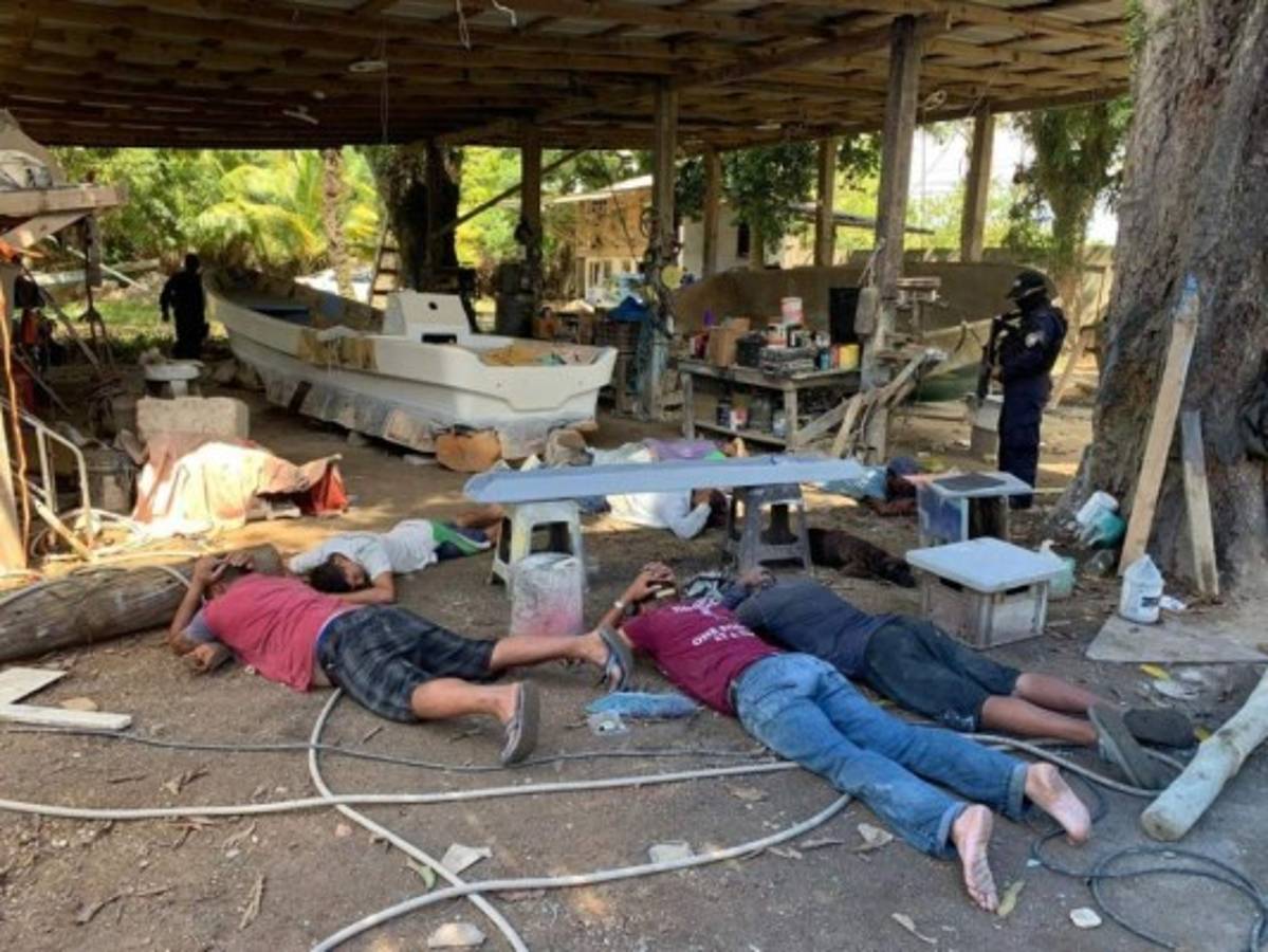 Caen en posesión de armas, droga y animales en peligro de extinción