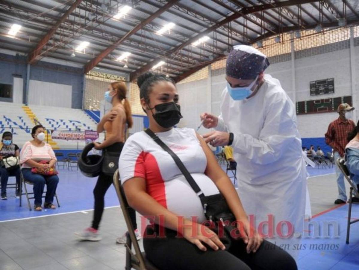 A las embarazadas se les vacuna con dosis de Pfizer. Foto: Marvin Salgado/El Heraldo