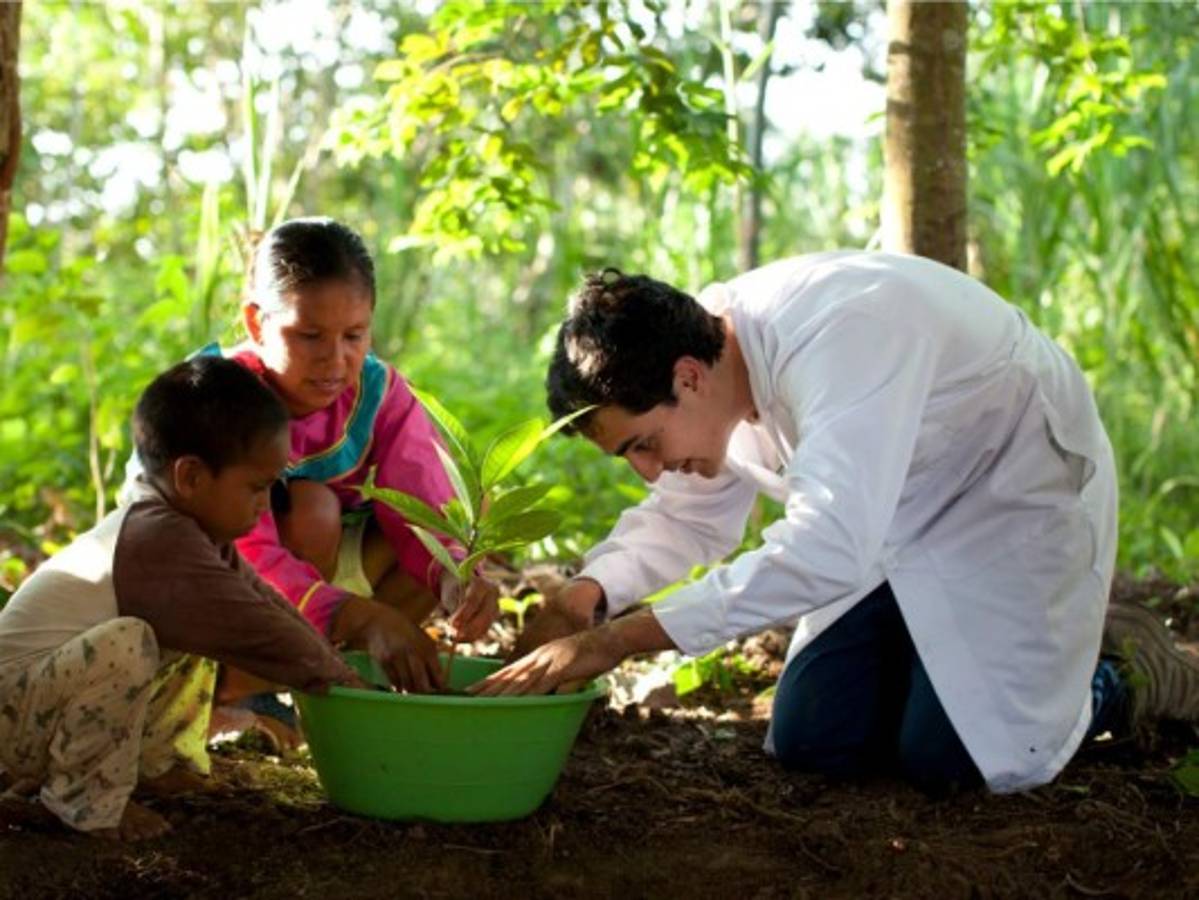 Luz verde en medio de la selva