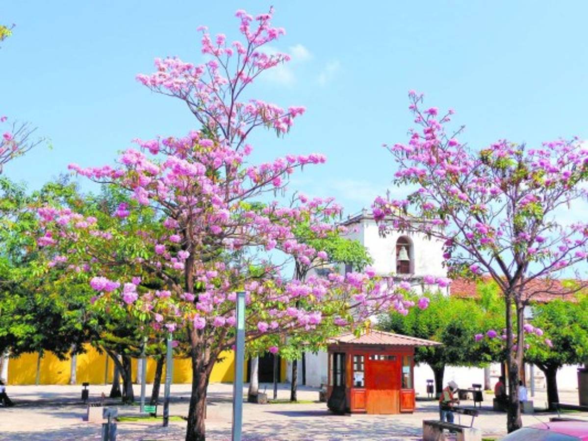 Comayagua, tesoro colonial
