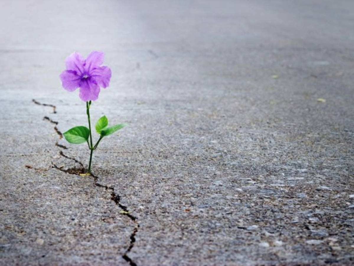 La belleza de estar vivos