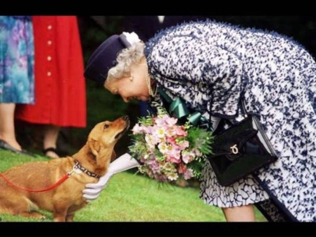 El príncipe Andrés le regala dos cachorros a la reina Isabel ll para animarla  