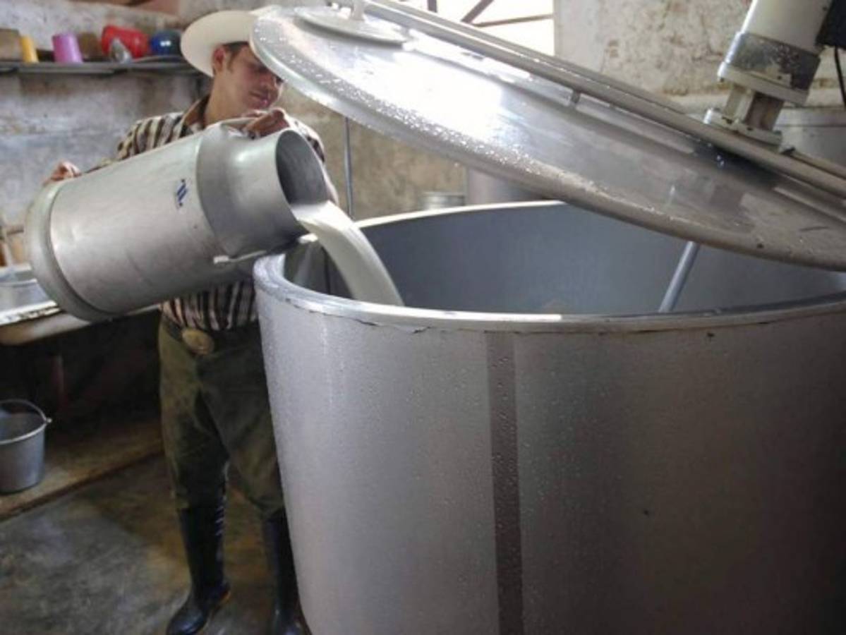 La industria formal comprará 100,000 litros de leche diarios para mitigar crisis de sobreproducción