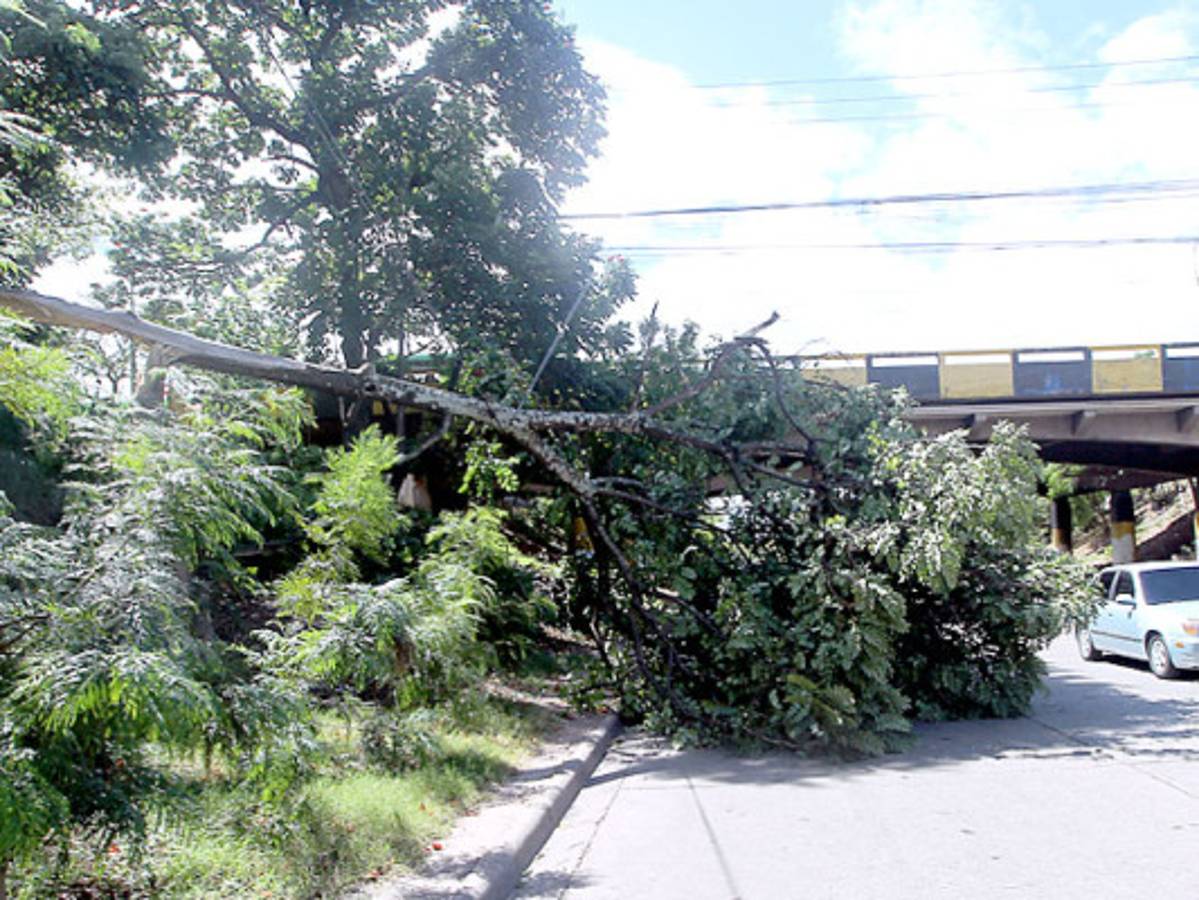 Alerta verde por 72 horas en seis departamentos